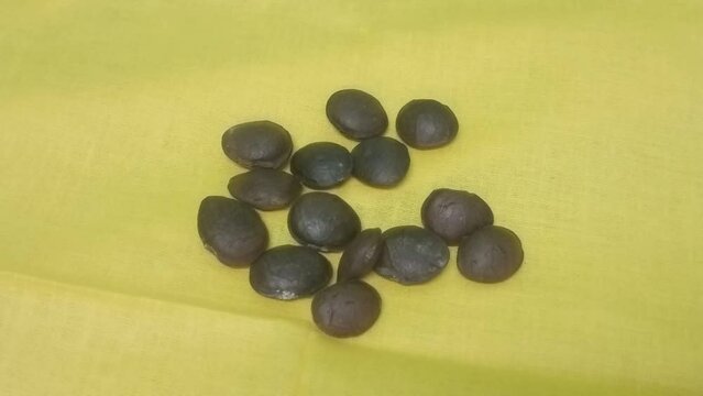 Plukenetia volubilis, commonly known as sacha inchi, sacha peanut, mountain peanut, Inca nut or Inca-peanut seeds close-up on white background
