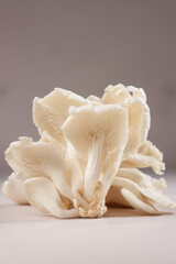 White Oyster Mushroom Ready to Cook in the Kitchen