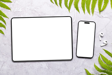 Smartphone and tablet with blank screen © Evgeny Karandaev
