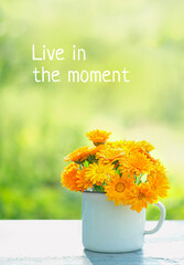 Live in the moment - inspiration quote on summer background. cup with bright orange flowers on...