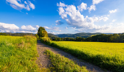 Fototapeta na wymiar Sauerland panorama in Iserlohn-Letmathe on a sunny summer evening. Warm light and blue sky above bright green meadows and wooded hills in natural reserve “Sonderhorst“ near famous cave “Dechenhöhle“.