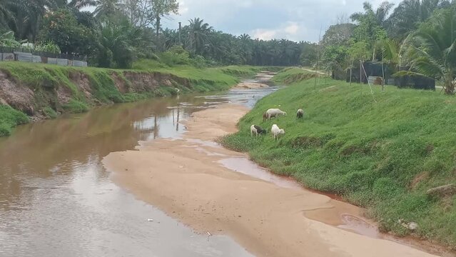 A dry  river  in kluang, johor, malaysia southeast asia
