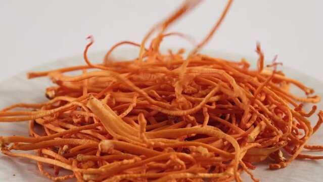 Footage of cordyceps falling from the air onto a white plate on a white background. Close-up footage, high quality video for commercials. A rare herb with many health benefits