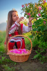 Bulgarian Rose Damascena field, Roses valley Kazanlak, Bulgaria. Girl in ethnic folklore clothing...