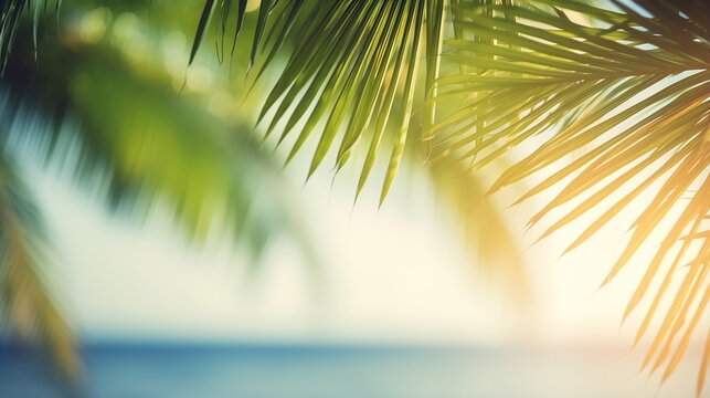 Generative AI : Blur beautiful nature green palm leaf on tropical beach with bokeh sun light wave abstract background. Copy space of summer vacation and business travel concept. Vintage tone filter ef