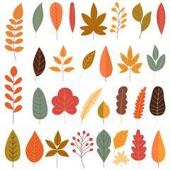 set of autumn leaves on white background in flat style vector