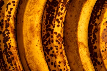 Foto auf Leinwand 完熟のバナナ © tsutenkakuboys2