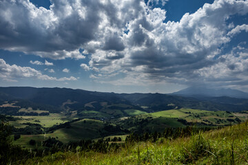 Obraz premium Mountain landscape viewed from Husciawa in Pieniny, Poland. Wild meadow flowers in foreground. 