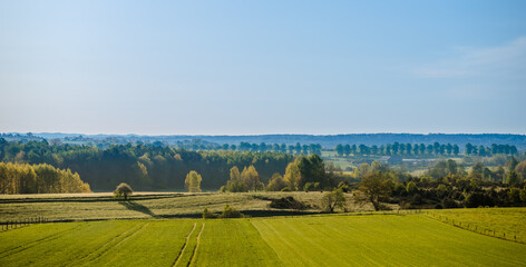 Countryside panorama with grass field, trees and forest in Poland