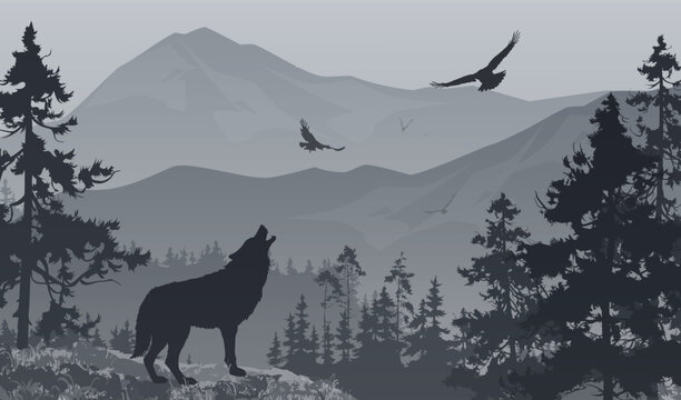 Mountain landscape with wolf and flying birds, vector illustration
