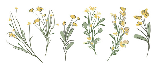 Spring flowers yellow set on white background. Wildflowers collection. Floral minimal design. Botanical vector illustration. 