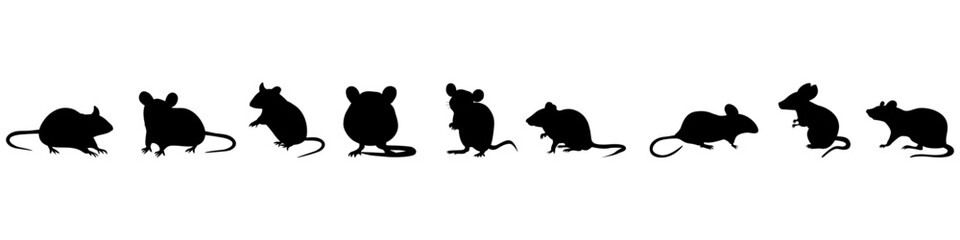 Mouse icon vector set. Rat illustration sign collection. Jerboa symbol or logo.
