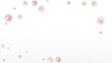 Pink Vector Realistic Petals Falling on Transparent Background.  Spring Romantic Flowers Illustration. Flying Petals. Sakura Spa Design. Blossom Confetti. Design Elements for Wedding Decoration.