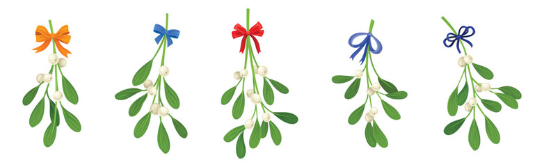 Mistletoe Green Branches with Oblong Leaves and Berries and Ribbon Bow Vector Set