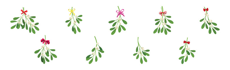 Mistletoe Green Branches with Oblong Leaves and Berries and Ribbon Bow Vector Set