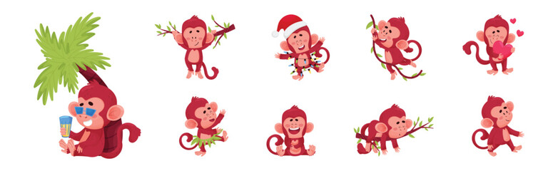 Playful Monkey Character Engaged in Different Activity Vector Set