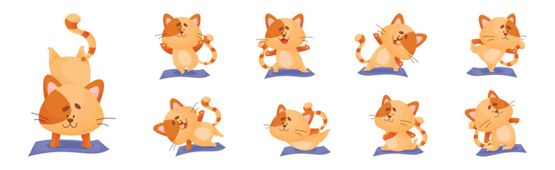 Ginger Cat with Striped Tail Doing Yoga Standing in Asana Vector Set