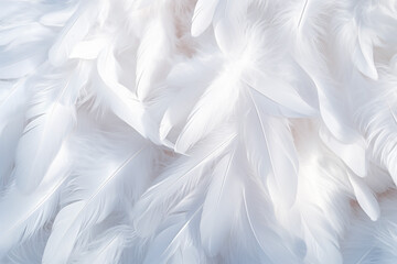 Background with white soft feather texture, concept suitable for sleep and health. - obrazy, fototapety, plakaty