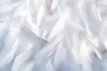 Fotobehang Background with white soft feather texture, concept suitable for sleep and health. © cwa