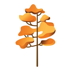 Collection of yellow, green, autumn, fall deciduous and evergreen forest plants. Botanical set of bare trees and ones with leaves and lush crowns. Flat vector illustration isolated on white background