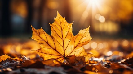 Naklejka na ściany i meble Fall Leaves, Autumn, Generative AI