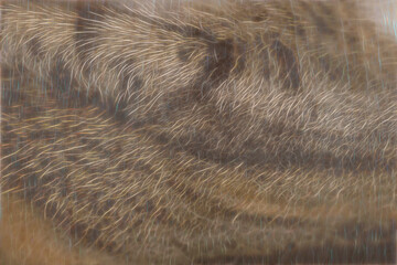 Enigmatic Fur Fusion: Abstract Fractal Brown Animal Hair on Digital Background, wild graphic 3D...