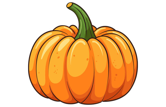 Colorful Cute Pumpkin vector illustration, Thanksgiving Pumpkin, and fall leaves flat vector