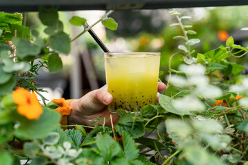 Close-up of a woman standing outdoors holding a green kiwi and basil muddled cocktail
