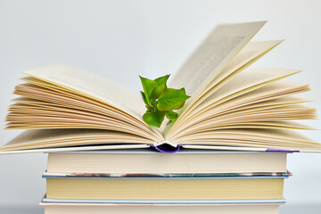 Stack of books with branch green leaves, World book day, knowledge and creativity concept, spring, summer mood, copy space, top view.