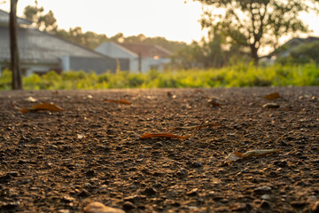Close up photo of a road in the early morning, after some edits.