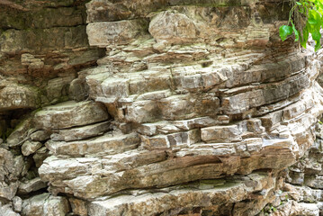 natural pattern stone rock with green fresh plants in the jungle in thailand