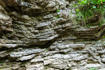 natural pattern stone rock with green fresh plants in the jungle in thailand