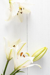 Beautiful white lilies on a white wooden background made of boards. frame. space for text. Vertical flat view. layout for design. postcard.