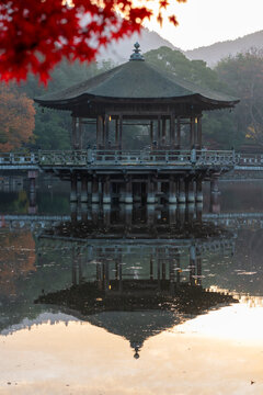 Ukimido and Autumn Leaves in Nara