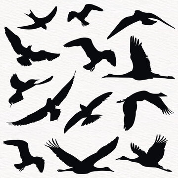 Flock of flying birds in a set of vector silhouettes