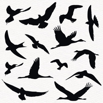 Flock of flying birds in a set of vector silhouettes
