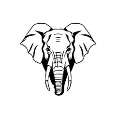 Elephant front