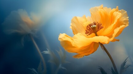 flower yellow poppies background, summer, bright summer fresh flowers with water drops, in blur, fog, flower background for phone, AI generated