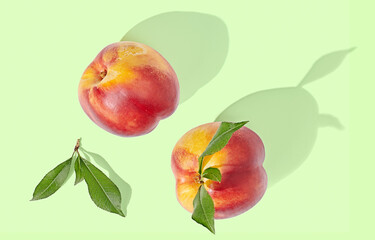 single nectarine on green pastel background