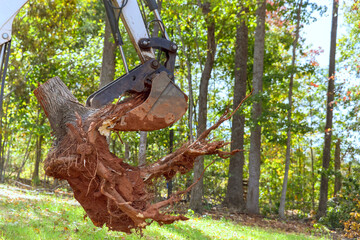 Skid steer tractor clears land by removing roots for a housing complex construction