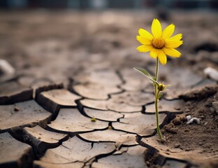 Landscape with flower on dry and cracked ground, hope concept. Generative AI