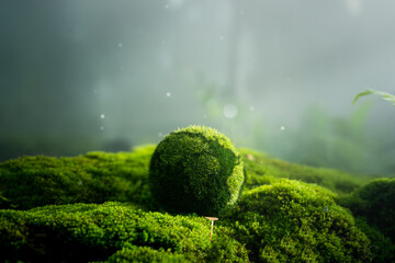 Environmental concept - Crystal Earth on forest moss with fern and sunlight - environment, save...