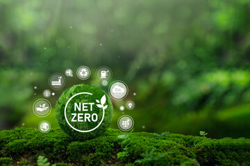Net Zero Concept and Carbon Neutral Natural Environment Climate-neutral long-term emissions strategy, goals, sustainability, globe icon. green background
