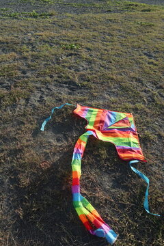 colorful kite on the grass design for freedom concept