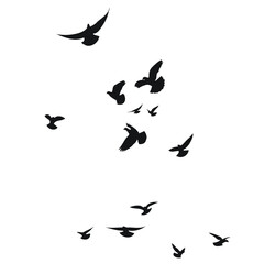 Naklejka na ściany i meble Silhouette sketch of a flock of flying birds, flight in different positions. Hover, soaring, landing, flying, flutter