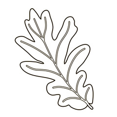 Fototapeta na wymiar Vector image silhouette of a realistic shape of oak leave. Seasonal decorative background