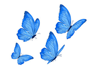 set of blue butterflt watercolor butterflies