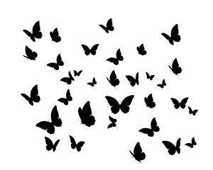 butterflies silhouettes set
