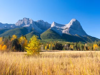 Fototapeten Mountain landscape in the morning. Sunbeams in a valley. Field and forest in a mountain valley. Natural landscape with bright sunshine. High rocky mountains. Banff National Park, Alberta, Canada. © biletskiyevgeniy.com