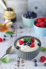 A bowl with Greek yogurt with berries